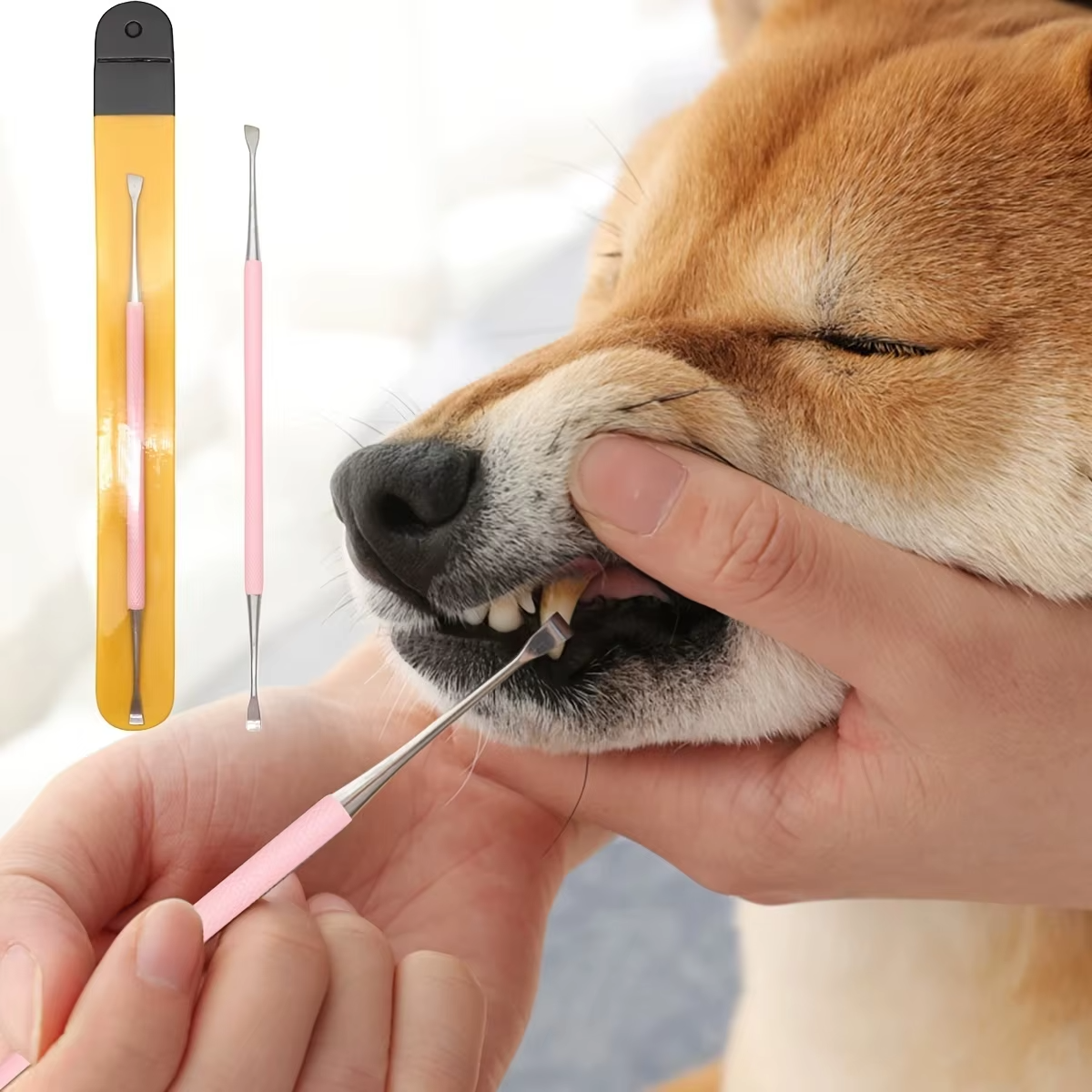 Pet Dental Tartar Scraper