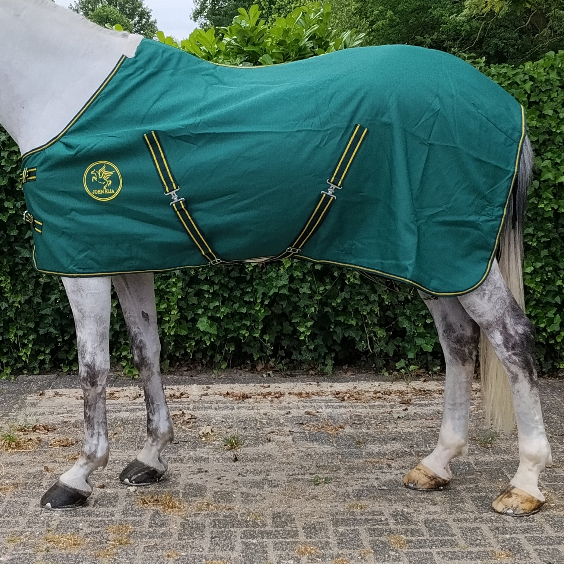 Summer Stable Sheet 1200D Ripstop – Buckle Front