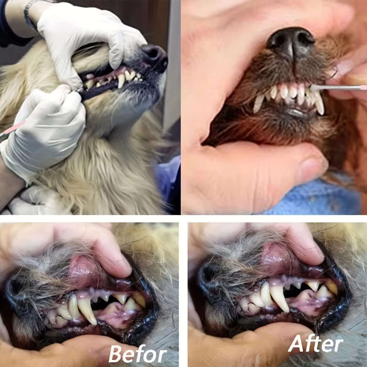 Pet Dental Tartar Scraper