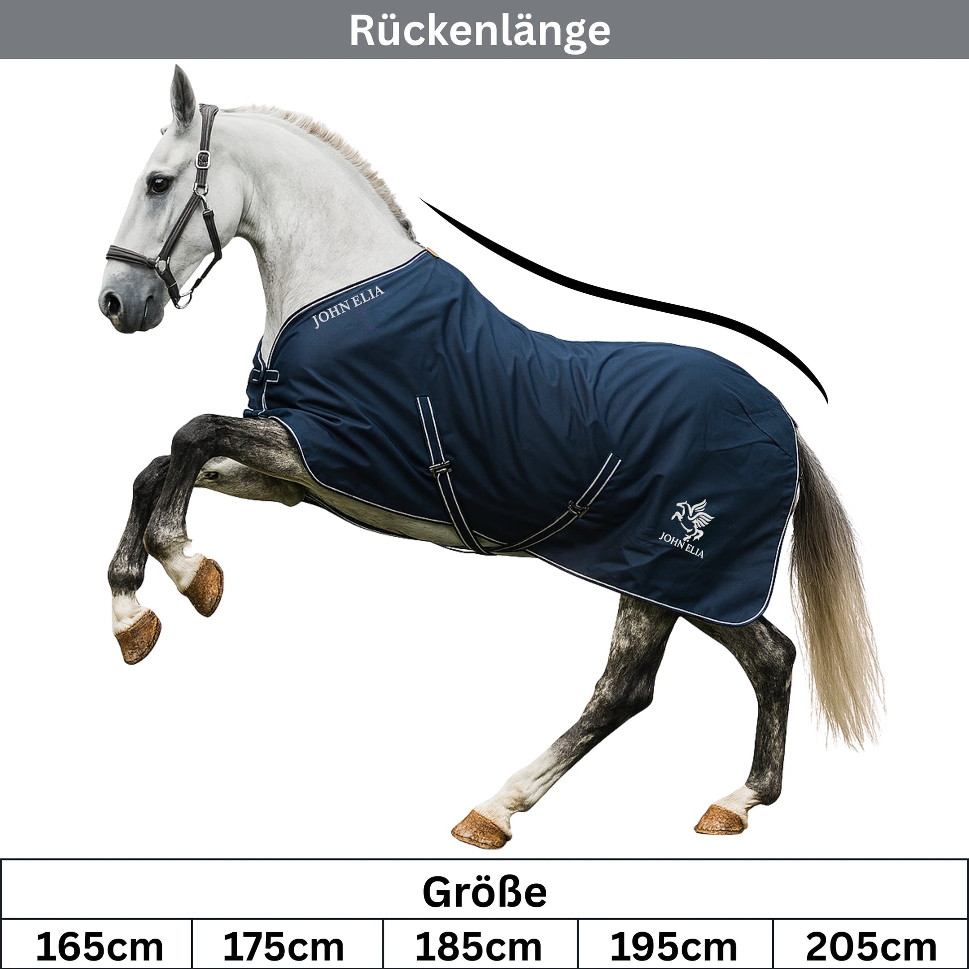 Horse wearing a navy blue rug with visible branding, standing on a white background.