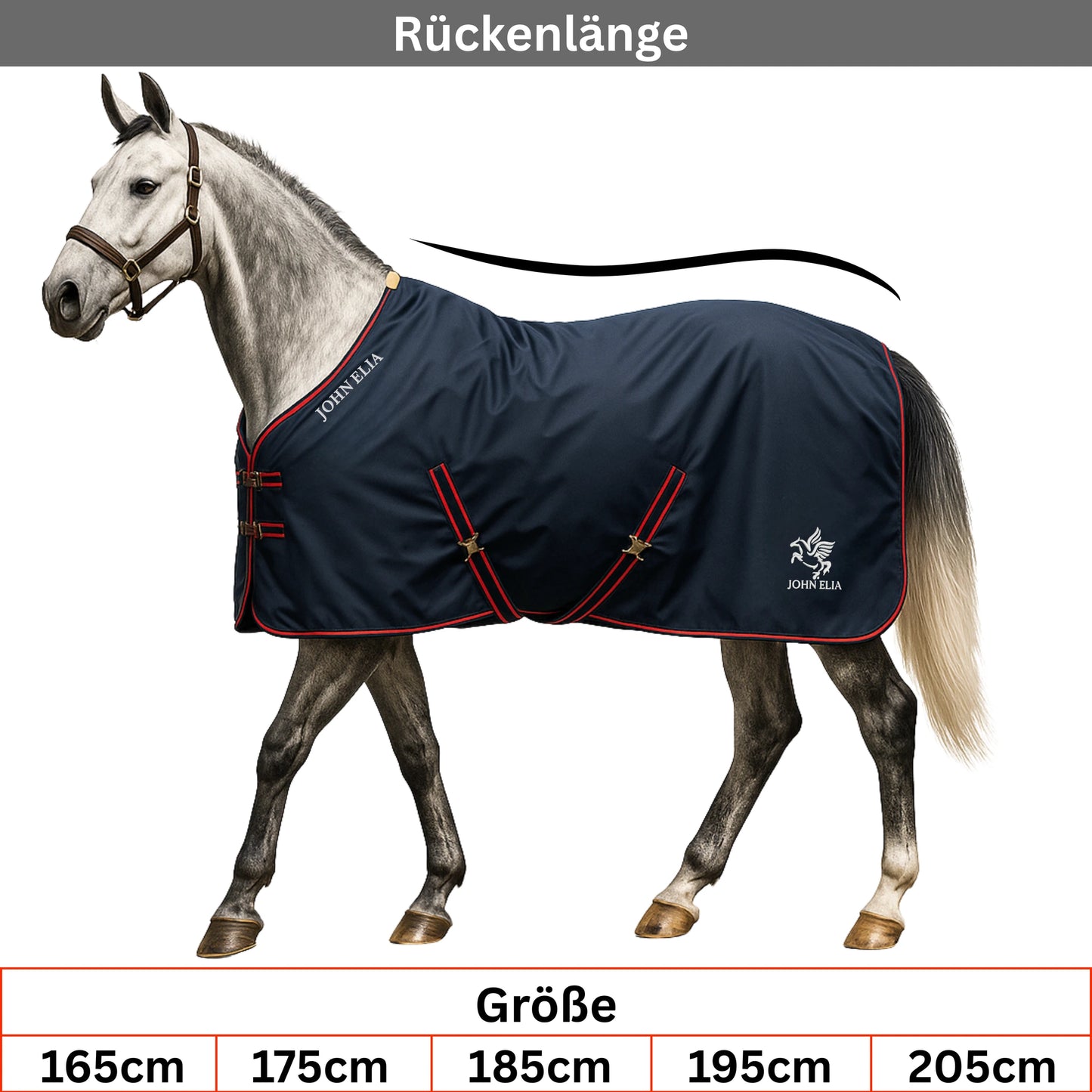 Horse wearing a navy blanket with red trim, standing on a white background.