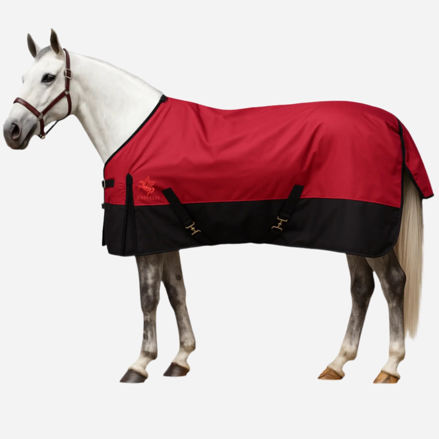 Horse wearing a red and black blanket on a white background