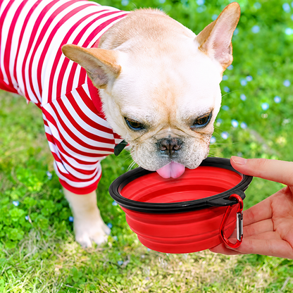 Collapsible Pet Travel Bowl